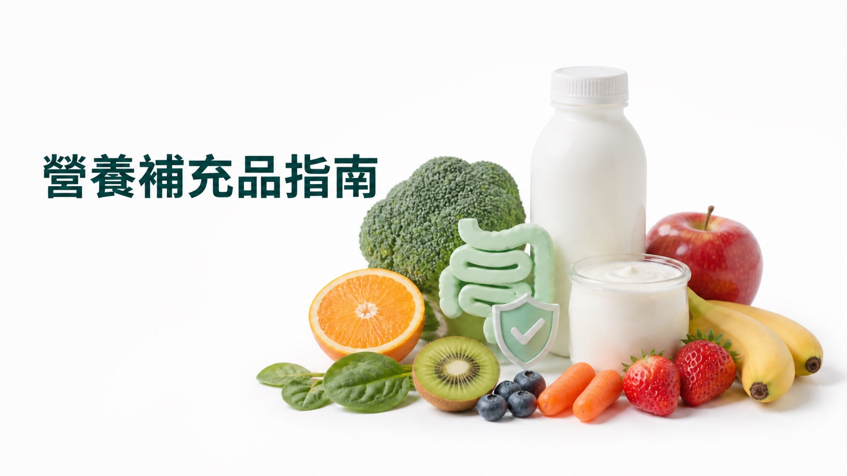 營養補充品指南：白底上的營養瓶、水果蔬菜、乳酪及消化系統抽象模型